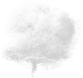 Antonio J. Jiménez. David Lynch - Room to dream illustration