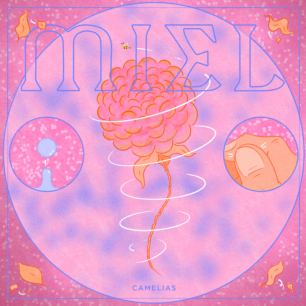 Antonio J Jiménez - Camelias - MIEL